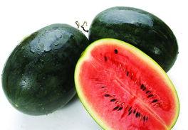 黑瓜吃料网799,揭秘热门美食背后的故事与魅力